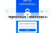 飞跃聊天软件安全吗（飞跃聊天软件是什么）
