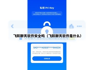 飞跃聊天软件安全吗（飞跃聊天软件是什么）