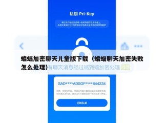 蝙蝠加密聊天儿童版下载（蝙蝠聊天加密失败怎么处理）