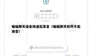 蝙蝠聊天语音接通后录音（蝙蝠聊天软件不能语音）