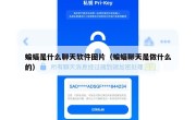蝙蝠是什么聊天软件图片（蝙蝠聊天是做什么的）