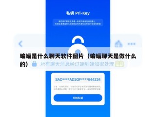 蝙蝠是什么聊天软件图片（蝙蝠聊天是做什么的）