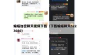 蝙蝠加密聊天视频下载（下载蝙蝠聊天6223080）