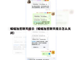 蝙蝠加密聊天提示（蝙蝠加密聊天提示怎么关闭）