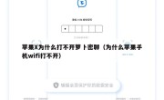 苹果X为什么打不开萝卜密聊（为什么苹果手机wifi打不开）