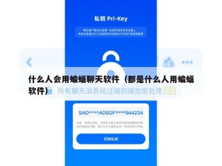 什么人会用蝙蝠聊天软件（都是什么人用蝙蝠软件）