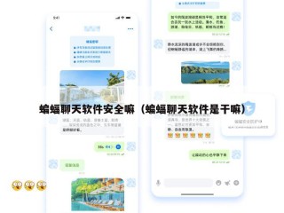 蝙蝠聊天软件安全嘛（蝙蝠聊天软件是干嘛）
