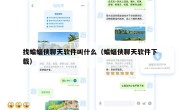 找蝙蝠侠聊天软件叫什么（蝙蝠侠聊天软件下载）
