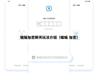 蝙蝠加密聊天玩法介绍（蝙蝠 加密）