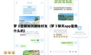 萝卜密聊如何删除好友（萝卜聊天app是做什么的）