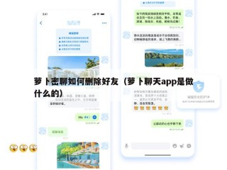 萝卜密聊如何删除好友（萝卜聊天app是做什么的）