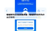 蝙蝠聊天无法连接服务器（蝙蝠聊天软件为什么打不开）