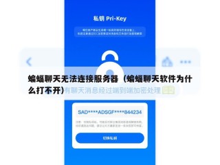 蝙蝠聊天无法连接服务器（蝙蝠聊天软件为什么打不开）