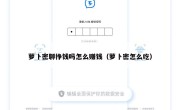 萝卜密聊挣钱吗怎么赚钱（萝卜密怎么吃）