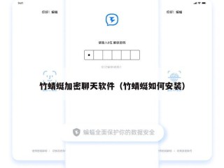 竹蜻蜓加密聊天软件（竹蜻蜓如何安装）