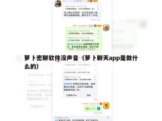 萝卜密聊软件没声音（萝卜聊天app是做什么的）