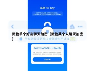 微信单个好友聊天加密（微信某个人聊天加密）