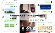 ios微信聊天加密（ios微信聊天加密怎么打开）