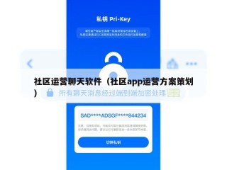 社区运营聊天软件（社区app运营方案策划）