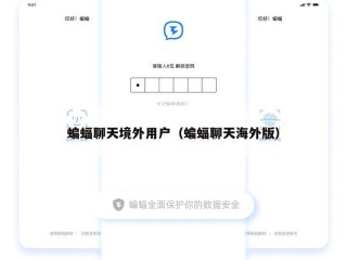 蝙蝠聊天境外用户（蝙蝠聊天海外版）