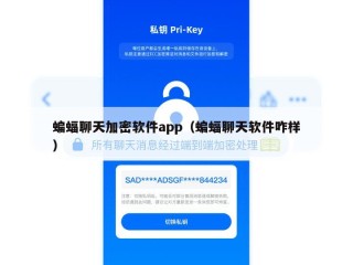 蝙蝠聊天加密软件app（蝙蝠聊天软件咋样）