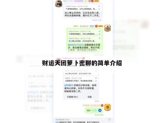 财运天团萝卜密聊的简单介绍