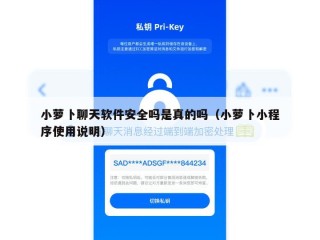 小萝卜聊天软件安全吗是真的吗（小萝卜小程序使用说明）