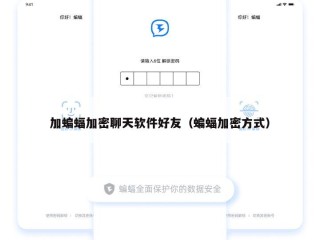 加蝙蝠加密聊天软件好友（蝙蝠加密方式）