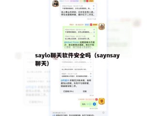 saylo聊天软件安全吗（saynsay聊天）