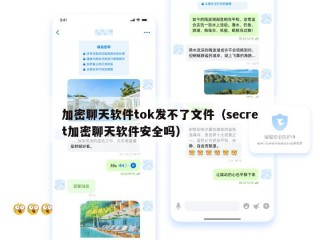 加密聊天软件tok发不了文件（secret加密聊天软件安全吗）