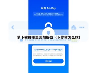 萝卜密聊哪里添加好友（卜箩蜜怎么吃）
