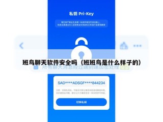 班鸟聊天软件安全吗（班班鸟是什么样子的）