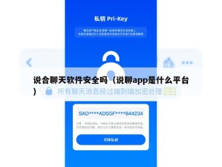 说合聊天软件安全吗（说聊app是什么平台）
