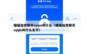 蝙蝠加密聊天oppo叫什么（蝙蝠加密聊天oppo叫什么名字）