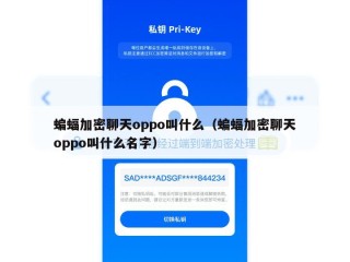 蝙蝠加密聊天oppo叫什么（蝙蝠加密聊天oppo叫什么名字）