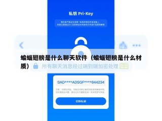 蝙蝠翅膀是什么聊天软件（蝙蝠翅膀是什么材质）