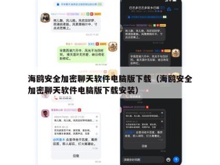 海鸥安全加密聊天软件电脑版下载（海鸥安全加密聊天软件电脑版下载安装）