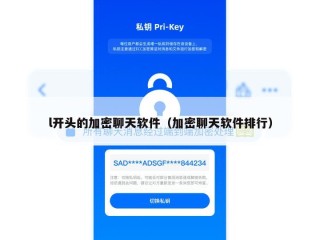 l开头的加密聊天软件（加密聊天软件排行）