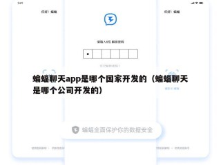 蝙蝠聊天app是哪个国家开发的（蝙蝠聊天是哪个公司开发的）