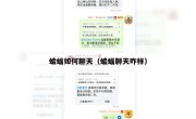 蝙蝠如何聊天（蝙蝠聊天咋样）