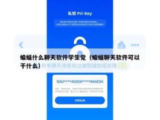 蝙蝠什么聊天软件学生党（蝙蝠聊天软件可以干什么）