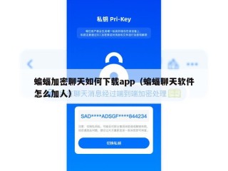 蝙蝠加密聊天如何下载app（蝙蝠聊天软件怎么加人）