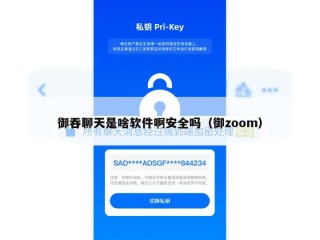 御吞聊天是啥软件啊安全吗（御zoom）