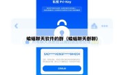 蝙蝠聊天软件的群（蝙蝠聊天群聊）