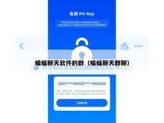 蝙蝠聊天软件的群（蝙蝠聊天群聊）