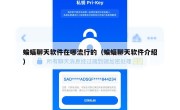 蝙蝠聊天软件在哪流行的（蝙蝠聊天软件介绍）