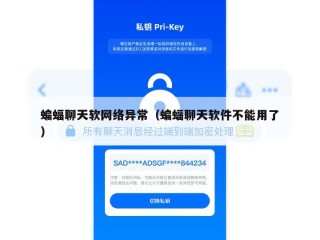 蝙蝠聊天软网络异常（蝙蝠聊天软件不能用了）
