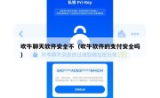 吹牛聊天软件安全不（吹牛软件的支付安全吗）