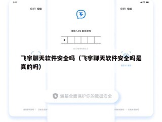 飞宇聊天软件安全吗（飞宇聊天软件安全吗是真的吗）