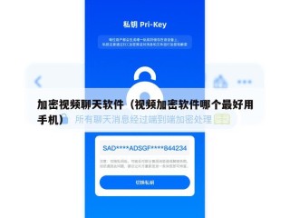 加密视频聊天软件（视频加密软件哪个最好用手机）